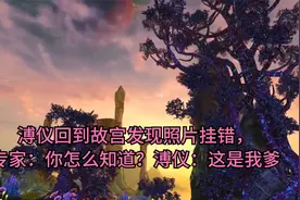 溥仪回到故宫发现照片挂错，专家：你怎么知道？溥仪：这是我爹视频封面