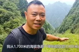 阿泰独自进入原始森林，深山峡谷发现有人居住，环境犹如世外桃源视频封面