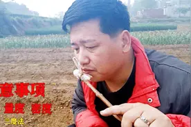 花生地驱鸟新法，农村小伙实地验证，效果到底如何？