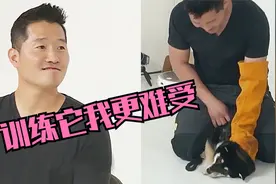 训犬师遭遇野狗性格一样的柴犬，训练途中训犬师心很难受视频封面