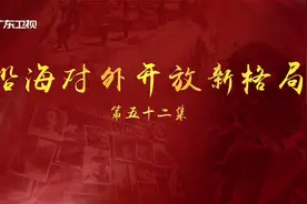 《百年奋斗为人民》第五十二集：沿海对外开放新格局视频封面