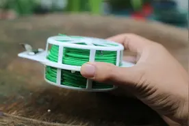 养花枝条乱七八糟怎么办？园艺师教你，使用园艺扎带，结实又耐用视频封面