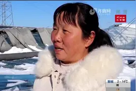 大雪压塌草莓大棚，50多亩的草莓受损失，种植户愁坏：损失上千万视频封面