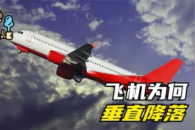 飞机为何垂直降落？原来1995年就有案例，空中浩劫还原真实原因！视频封面