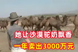 圈养的骆驼不吃草，产奶少？新疆姑娘解决难题，年销售额3000万元视频封面