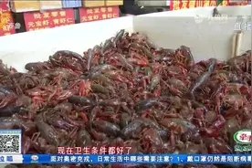 小龙虾的头能不能吃，小龙虾真的养在臭水沟里？这个视频给你答案视频封面