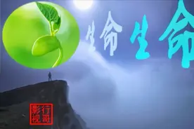 散文《生命，生命》MV   作者:杏林子   朗诵：大连伙计视频封面