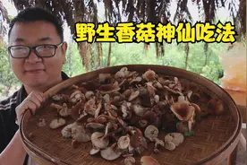 野生香菇的神仙吃法，肉香菌香融为一体