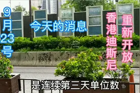 今天新增很少也，是香港开学的日子，迪斯尼乐园准备重新开放。视频封面