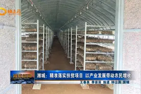 潍城：精准落市扶贫项目 以产业发展带动农民增收视频封面