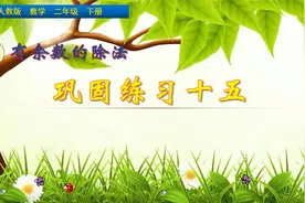 二年级下册数学《有余数的除法巩固练习15》，学好除法，打好基础视频封面