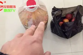 捡了1袋烂苹果做养花“有机肥”，7天就可使用，改善土壤不板结视频封面