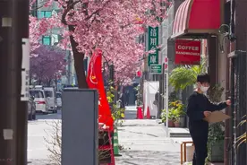 东京樱花2021 - 日本桥 川崎樱__视频封面