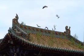 人都会做梦，你梦境中预见过未来吗？你掌纹中有神秘的十字线吗？视频封面