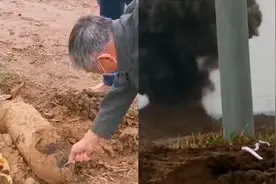 工地挖出战争时期航空炸弹 引爆后威力巨大 现场腾起黑色烟柱视频封面