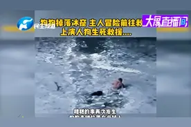 狗狗掉落冰窖，主人生死救援视频封面
