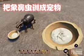禁闭求生28：训了一只象鼻虫当宠物，差点把我气晕#禁闭求生视频封面