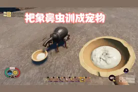 禁闭求生28：训了一只象鼻虫当宠物，差点把我气晕#禁闭求生视频封面
