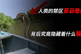 被人类称为禁区的亚马逊雨林！背后究竟隐藏着什么秘密！！视频封面