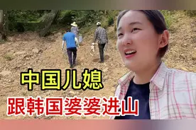 韩国农村的惬意生活，大姑姐一家也来了，跟婆婆上山挖板栗，减肥视频封面