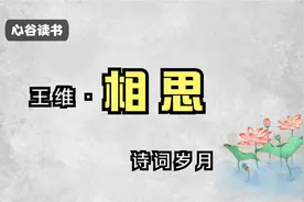 诗词岁月‖王维《相思》千古第一相思诗，真是写相思吗视频封面