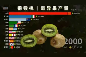 维C丰富的猕猴桃哪里产量最多 世界各国奇异果产量排名视频封面
