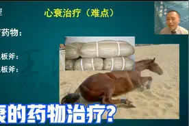 心衰患者吃什么药效果好？专家良心推荐这几种新药视频封面