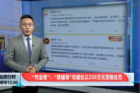 顶格处罚！知名教学机构“作业帮”“猿辅导”被处250万元罚款视频封面