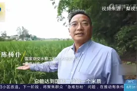 2米高巨型稻在重庆试种成功，袁隆平的“禾下乘凉梦”成真！视频封面