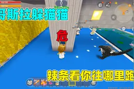 迷你世界：哥斯拉躲猫猫！小王子躲在树里看不见，我能找到他吗？视频封面