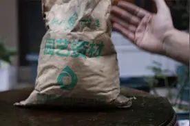 养花花盆不透气？园艺师教你，在盆底垫陶粒，大量增加透气性视频封面