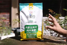 家庭阳台种菜施什么肥？园艺师教你，用风干羊粪肥，有机质充足视频封面
