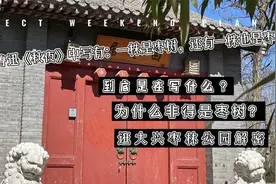 鲁迅家门口两株枣树，为什么非得是枣树而不是其他树？枣树知多少视频封面