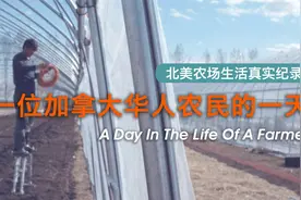 真实记录：一位加拿大华人农民的一天视频封面