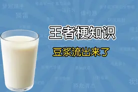“豆浆流出来了”是什么梗？【王者梗知识】视频封面