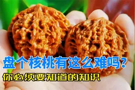 核桃盘的又黑又脏？原来没做好这几点，两分钟教你盘出透亮的核桃视频封面