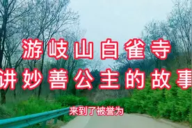 游览陕西岐山白雀寺  戏说妙善（三）公主的故事视频封面