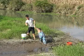 河里田螺太多了，两人捡得根本停不下来，没想到美女不慎陷入泥潭视频封面