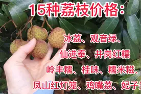 15种荔枝价格：从1.8-388元不等，价格高的是冰荔>观音绿>桂味等