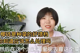 椰砖也是高级营养土，是阳台养花种菜的好搭档，你知道怎样处理吗视频封面