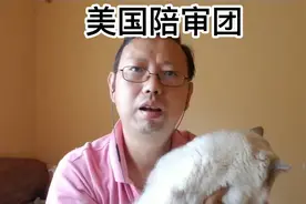 美国陪审团制度是怎么回事？视频封面