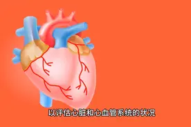 【医院科室简介】---心内科视频封面