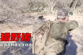 捕猎野猪，六十岁的老外拿着传统弓箭狩猎，真乃老当益壮！视频封面