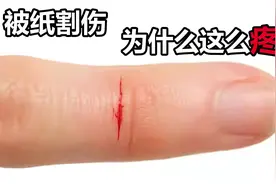 为什么被毫无战斗力的纸割伤，比刀子还疼？纸的威力有多大？视频封面