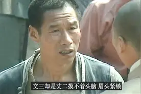 文三遇到花猫，有理说不清视频封面