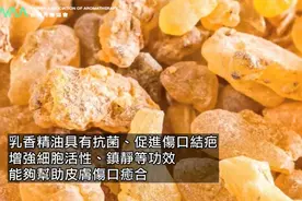 乳香精油到底有哪些功效呢？为什么是精油之王呢？视频封面
