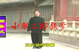 陈永福《陈式太极拳小架二路》教学视频封面