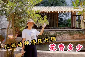 家里的竹棚搭好了，儿媳妇请了2个师傅做了3天，看看花费多少视频封面