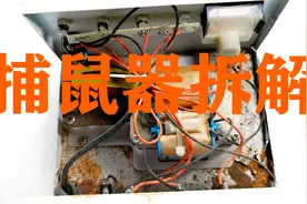 小伙拆解电子捕鼠器，发现里面只有一个变压器，是什么原理？视频封面
