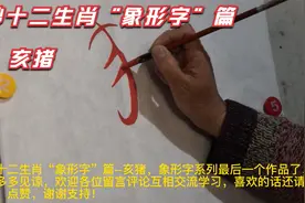 朱砂十二生肖“象形字”篇--亥猪视频封面